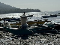 IMG_6460