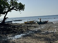 IMG_6456