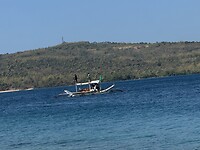 IMG_6482