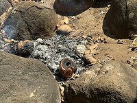 IMG_6490