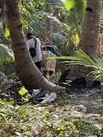 IMG_6528