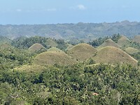 IMG_6711