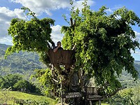 IMG_7034