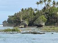 IMG_7131
