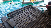 IMG_7310