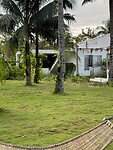IMG_7154