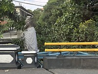 IMG_9738