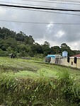IMG_9699
