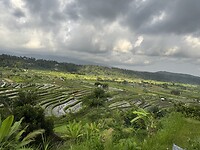 IMG_9696