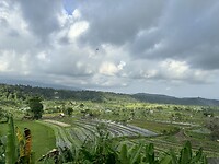 IMG_9691