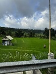 IMG_9688