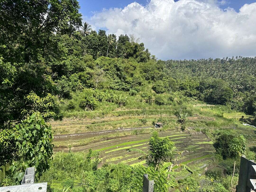 IMG_9663
