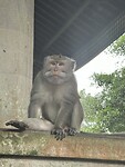 IMG_9784