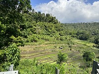 IMG_9663