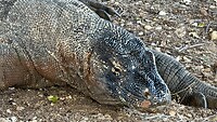 IMG_0165