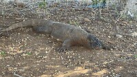 IMG_0164