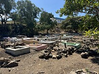 IMG_0191