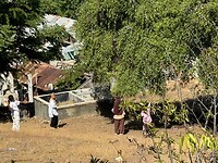 IMG_0160