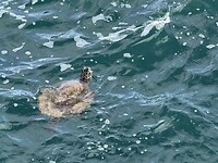 IMG_6505