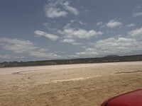 IMG_6557