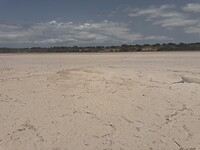 IMG_6560