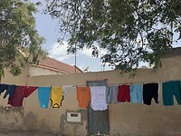 IMG_6580
