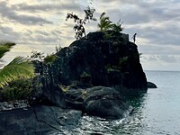 IMG_7530