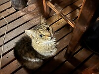 IMG_7563