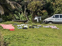 IMG_7587