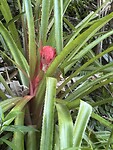 IMG_7631