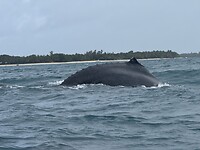 IMG_7720