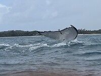 IMG_7722