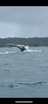 IMG_7735