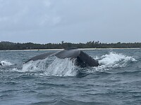 IMG_7721