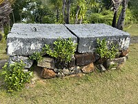 IMG_7765