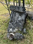 IMG_7753