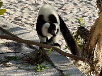 IMG_7820