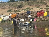 IMG_7794