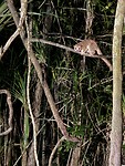 IMG_8058
