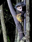 IMG_8035