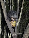 IMG_8023