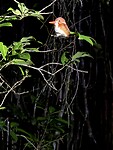 IMG_7813