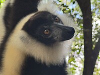 IMG_7856