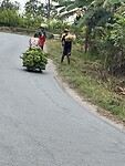IMG_8124