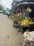 IMG_8116