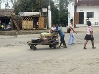 IMG_8113