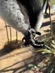 IMG_8310