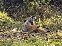 IMG_8300