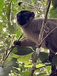 IMG_8254
