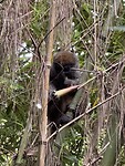 IMG_8186